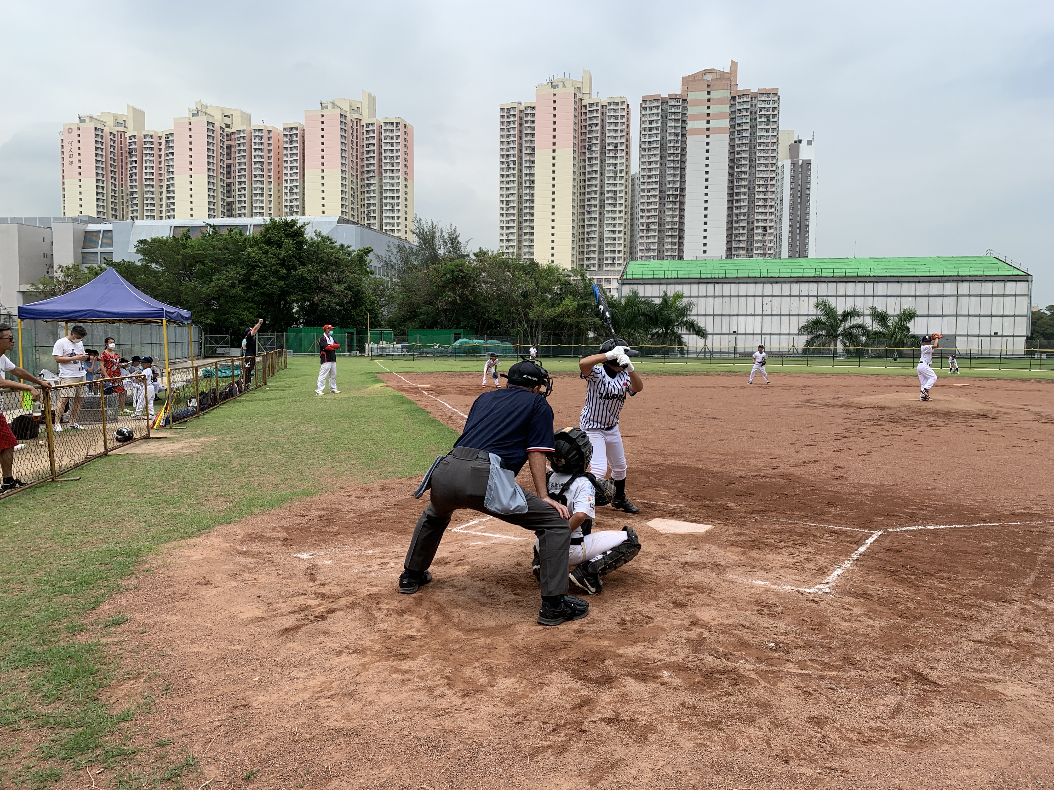 活動回顧 (香港少棒聯盟)